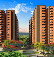 assetz-bloom and dell