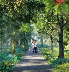 godrej-sunrise estate