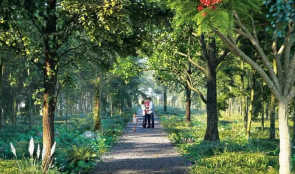 Godrej Sunrise Estate