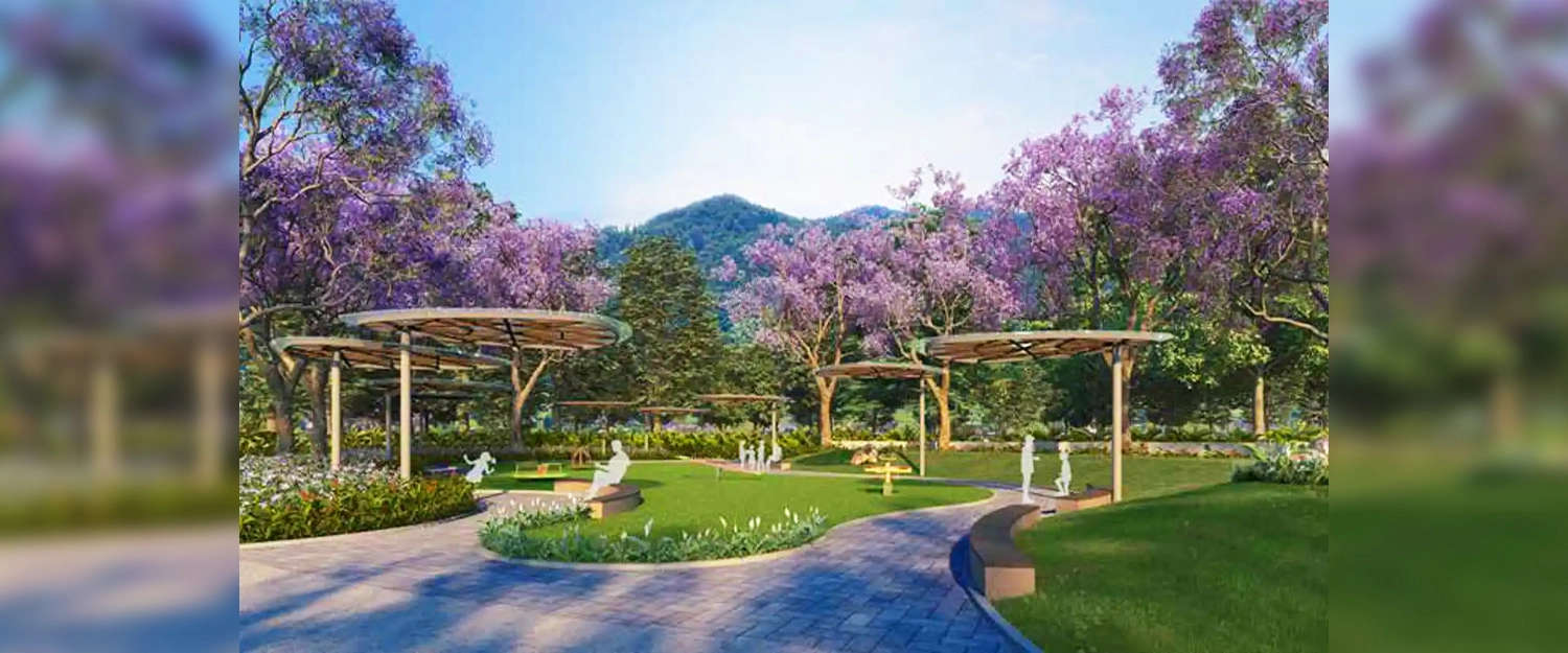 Outdoor Amenities