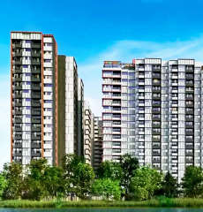 tvs-emerald elements