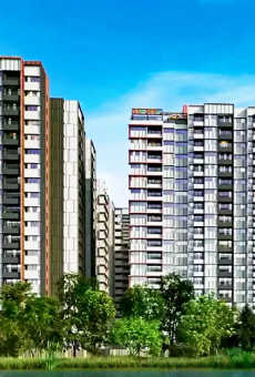 TVS Emerald Elements