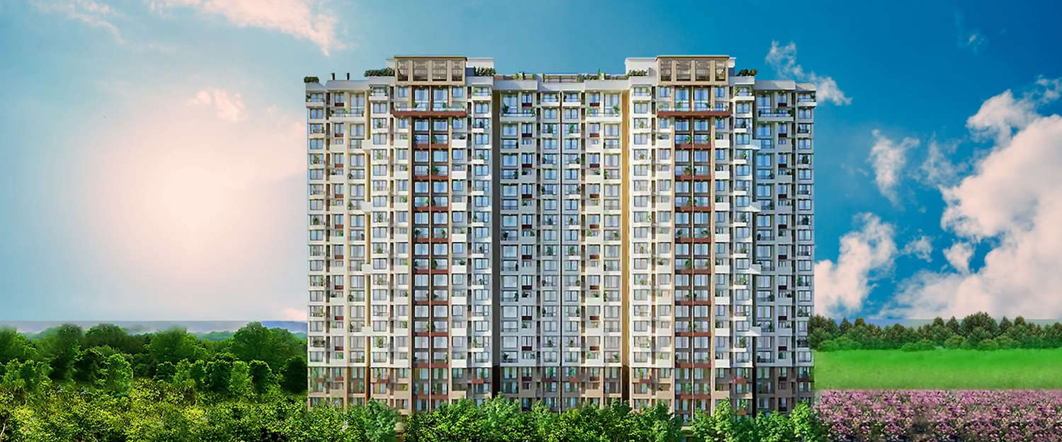Elevation Image