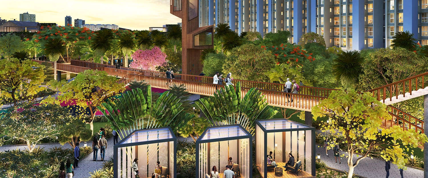 Outdoor Amenities