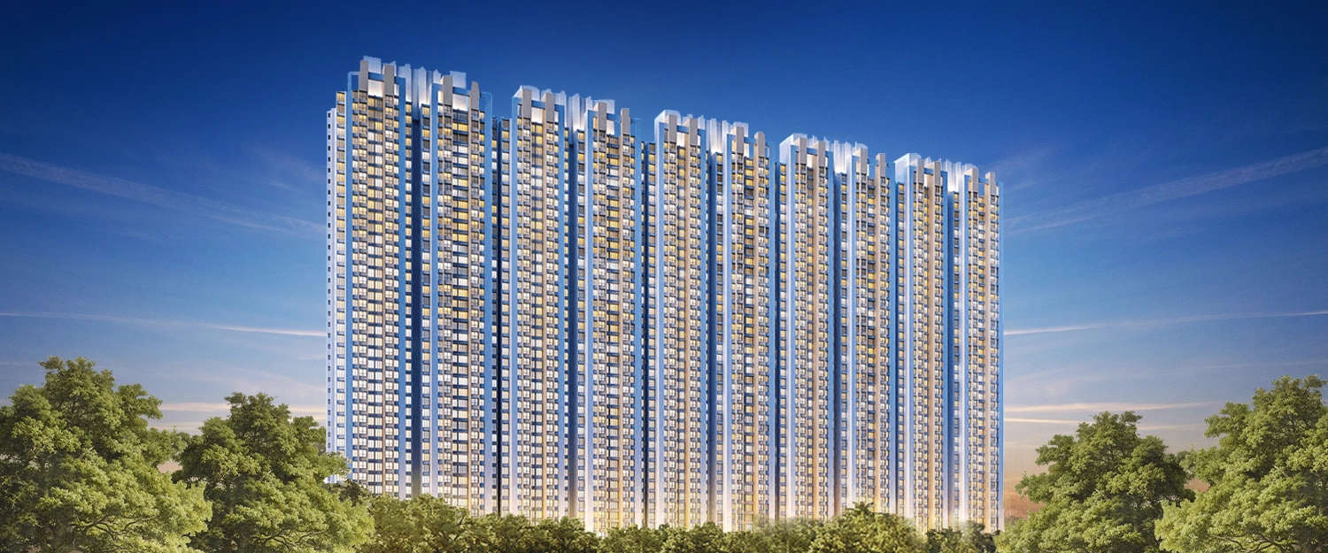 Elevation Image