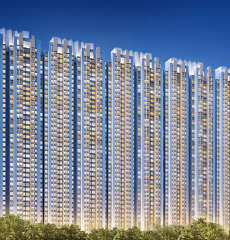 raymond-tenx habitat