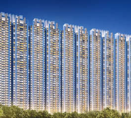 raymond-tenx habitat