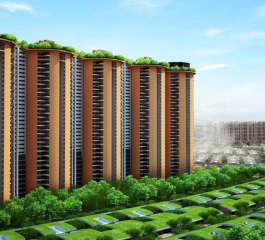 pursuit-radical rhapsody