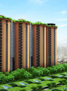 pursuit-radical rhapsody