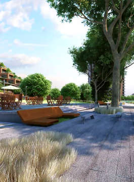 pursuit-radical rhapsody