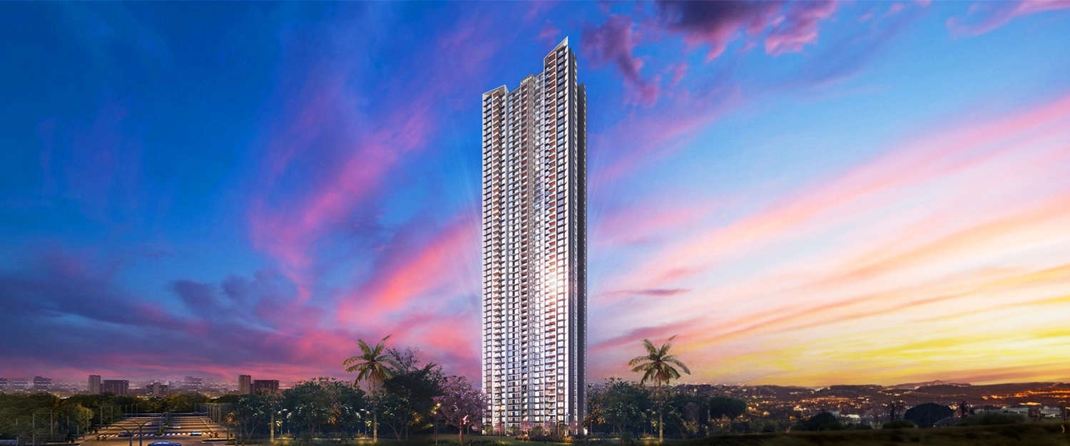 Elevation Image