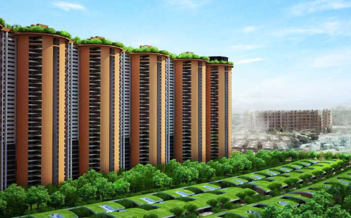 Radical Rhapsody Whitefield