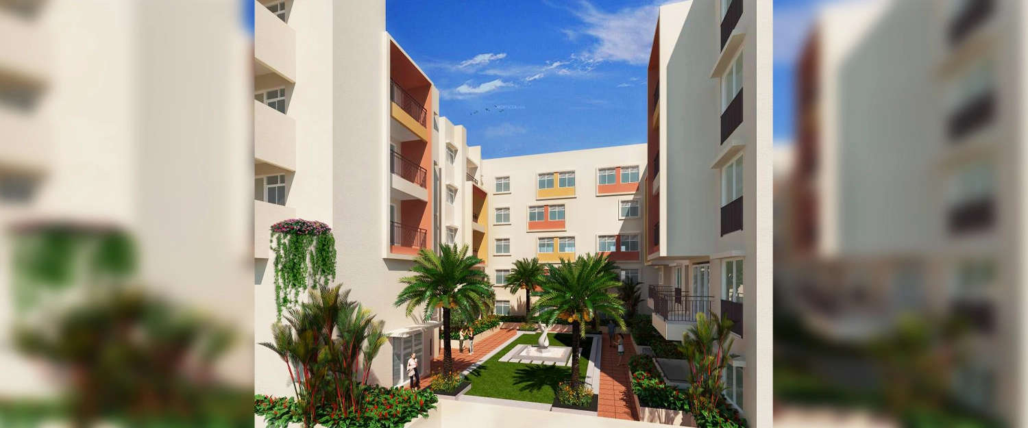 Outdoor Amenities
