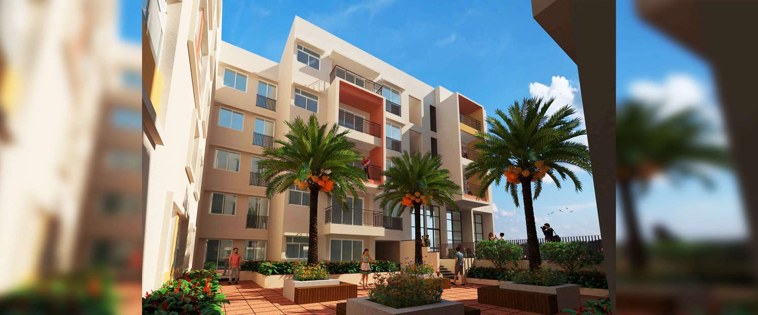 Outdoor Amenities