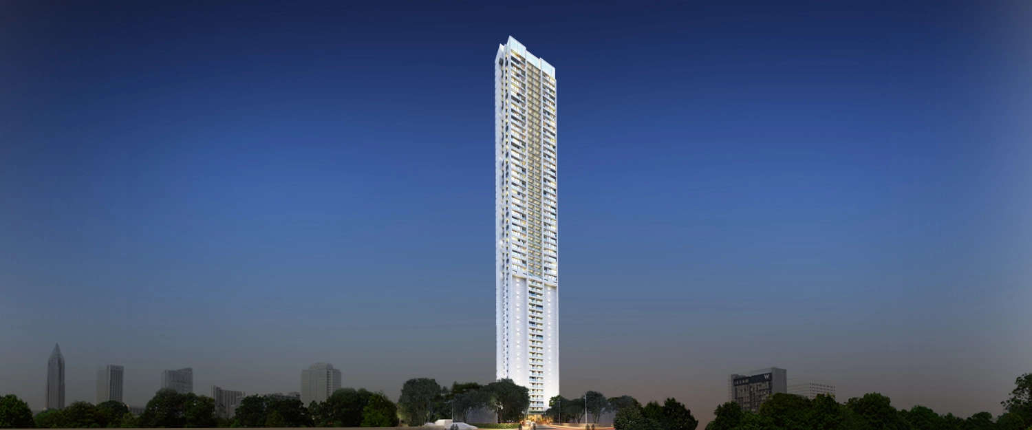 Elevation Image