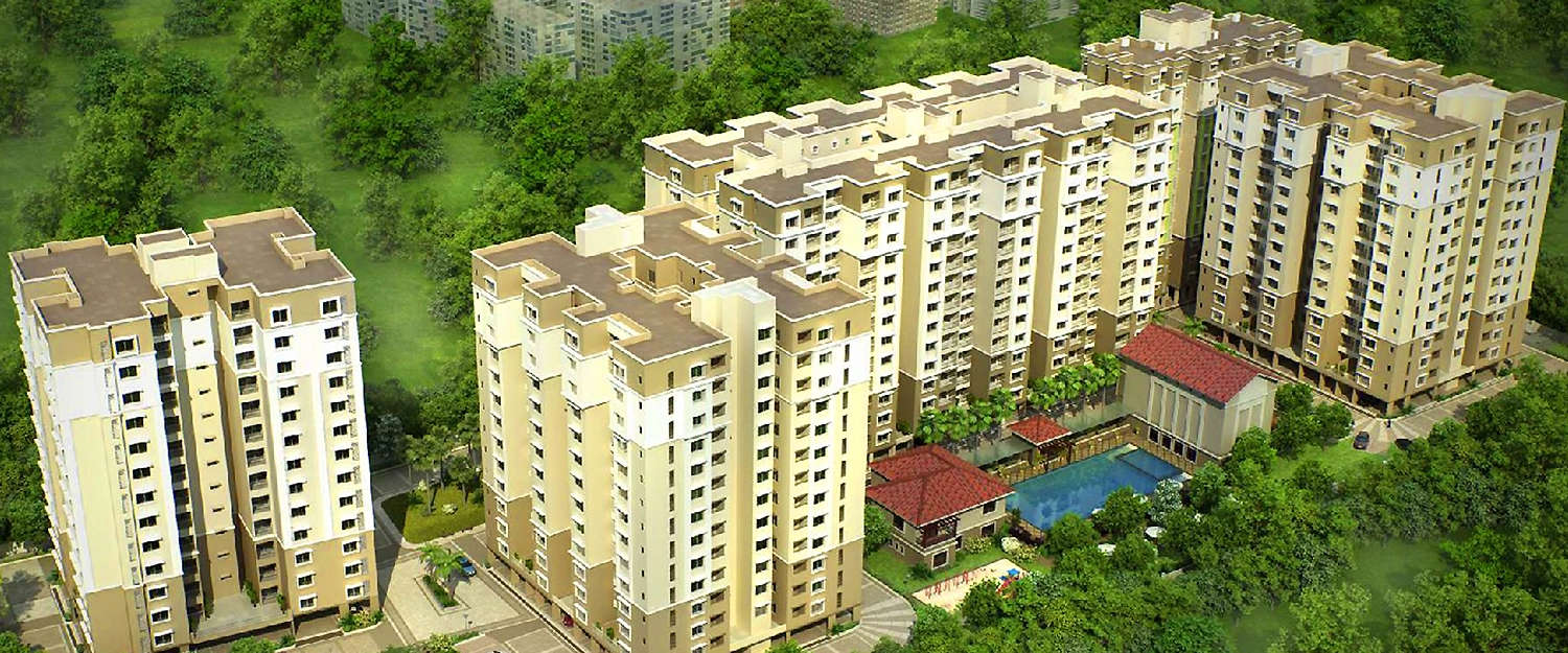 Elevation Image