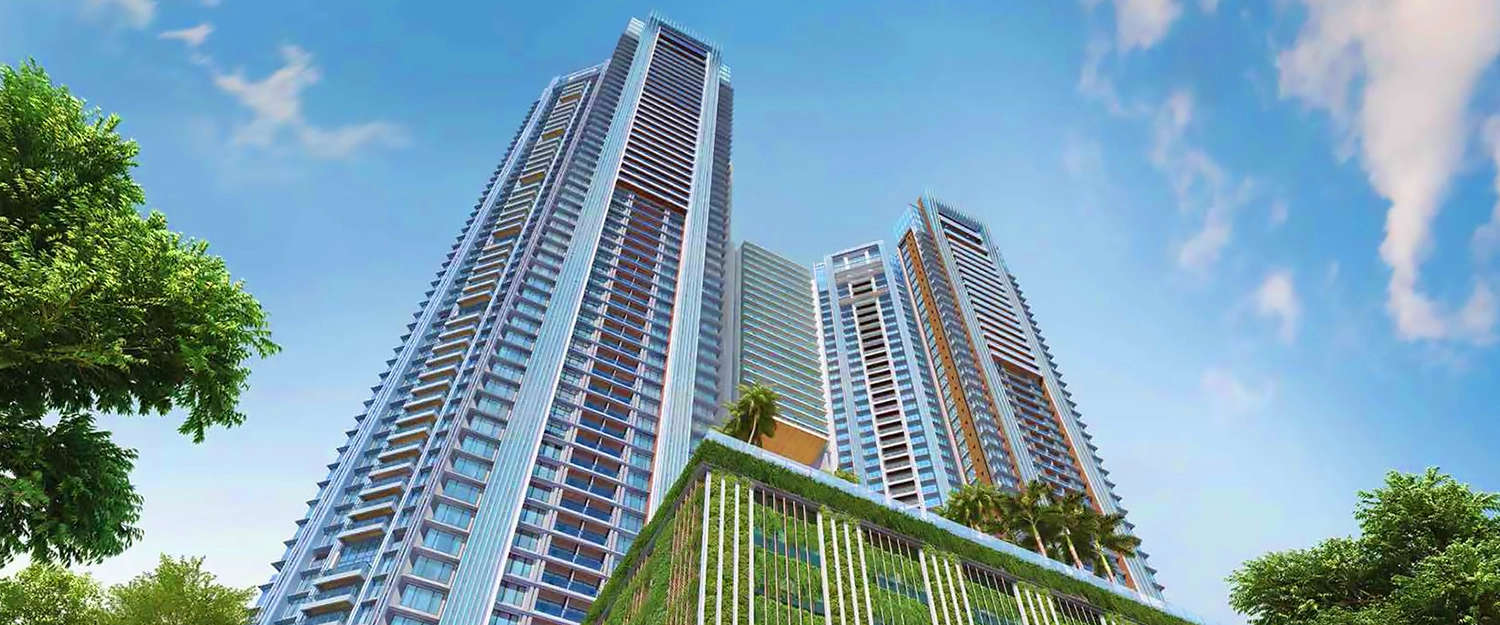 Elevation Image