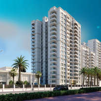 prestige-elm park
