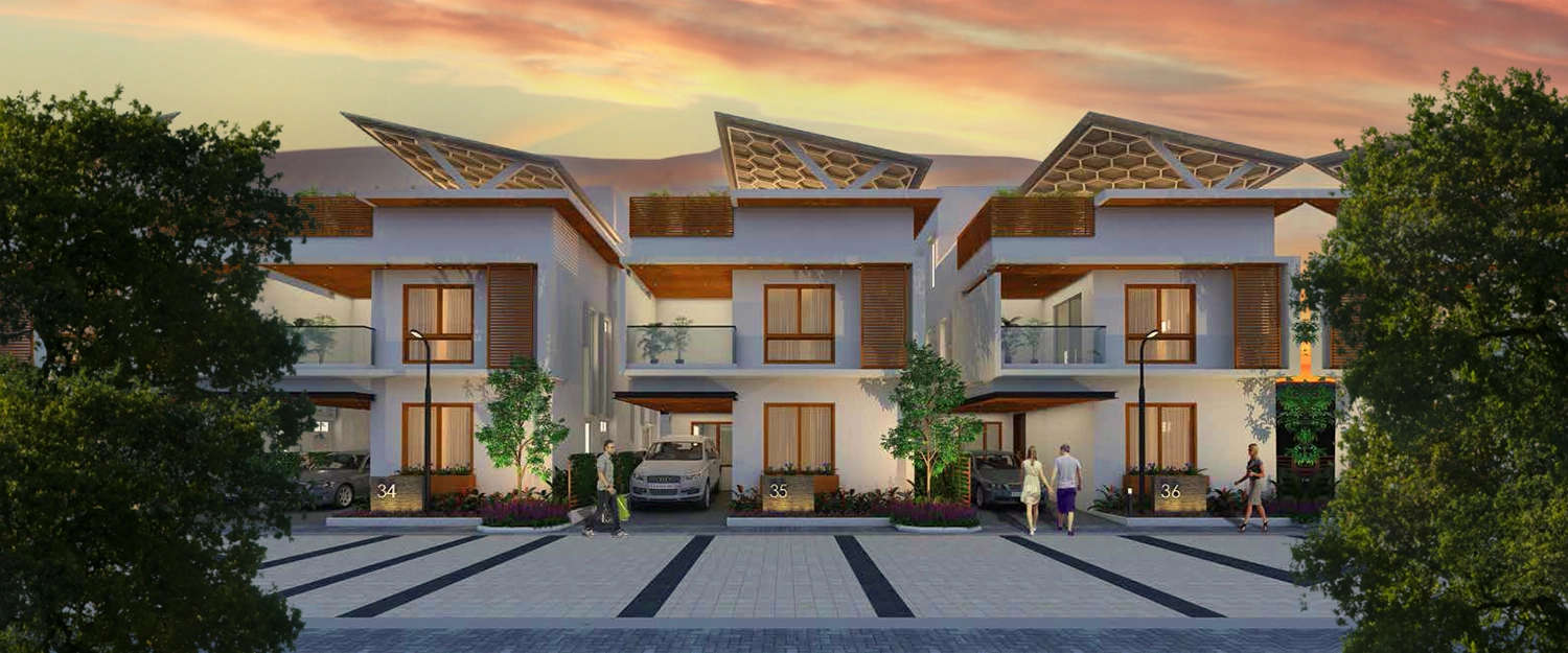 Elevation Image