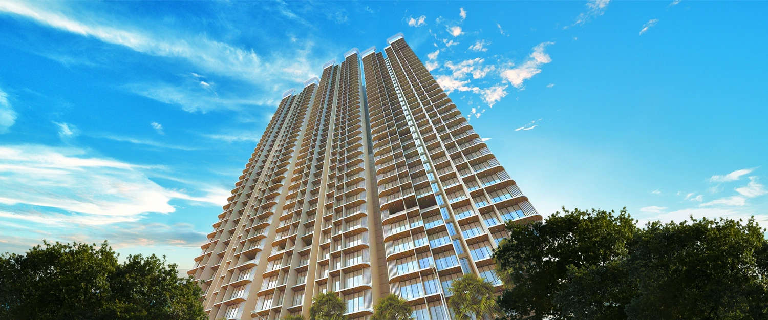 Elevation Image