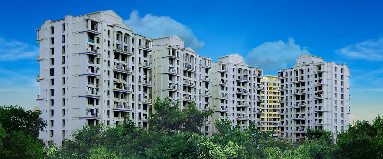 Elevation Image