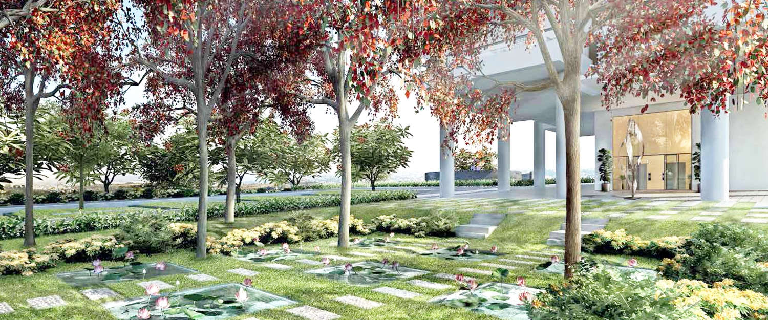 Outdoor Amenities