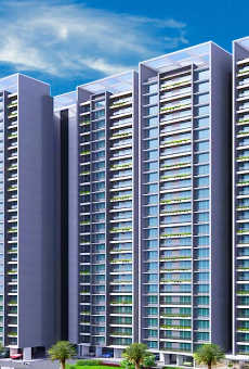 Wadhwa Solitaire