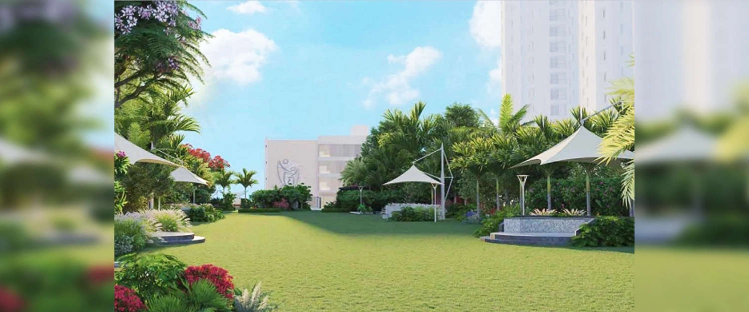 Outdoor Amenities