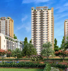 urbanrise-the world of joy