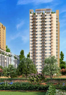 urbanrise-the world of joy