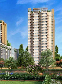 urbanrise-the world of joy