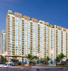 urbanrise-the world of joy