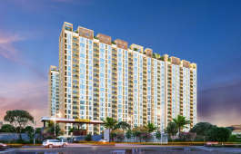 urbanrise-the world of joy