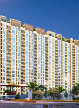 urbanrise-the world of joy