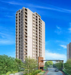 goyal-orchid bloomberry