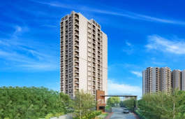 goyal-orchid bloomberry