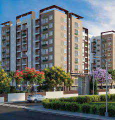 sowparnika-olivia nest