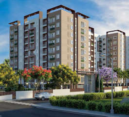 sowparnika-olivia nest