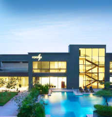 wadhwa-the address