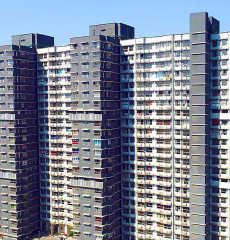 wadhwa-the address