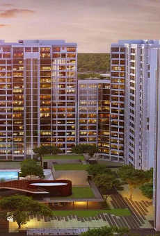 Godrej Trees
