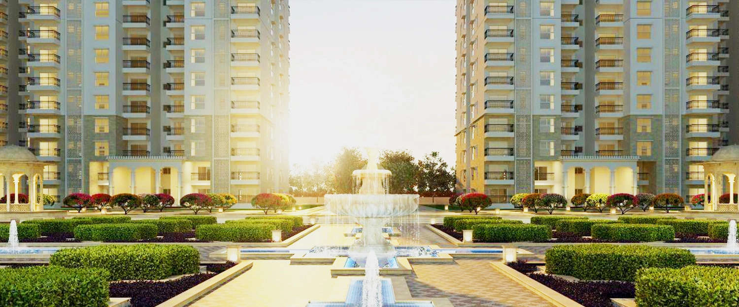 Elevation Image