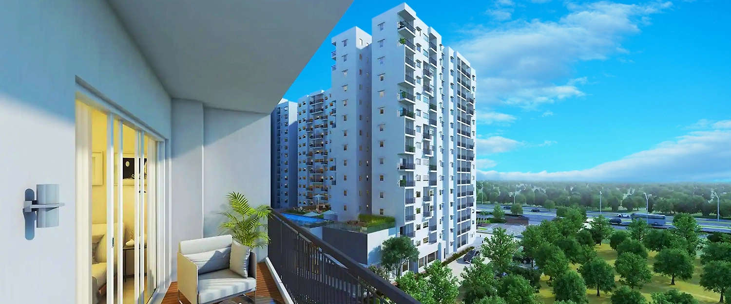 Elevation Image