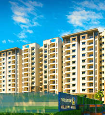 prestige-willow tree