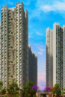Godrej Rejuve
