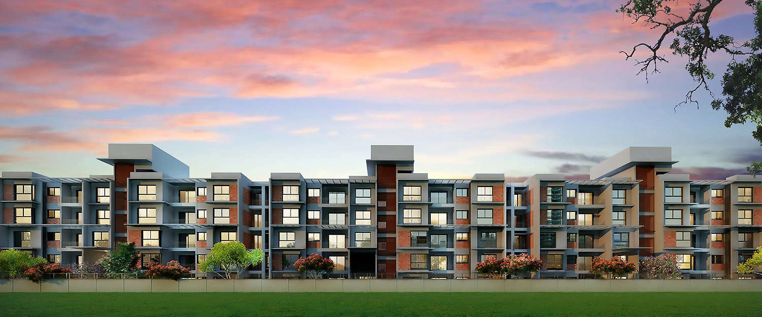 Elevation Image