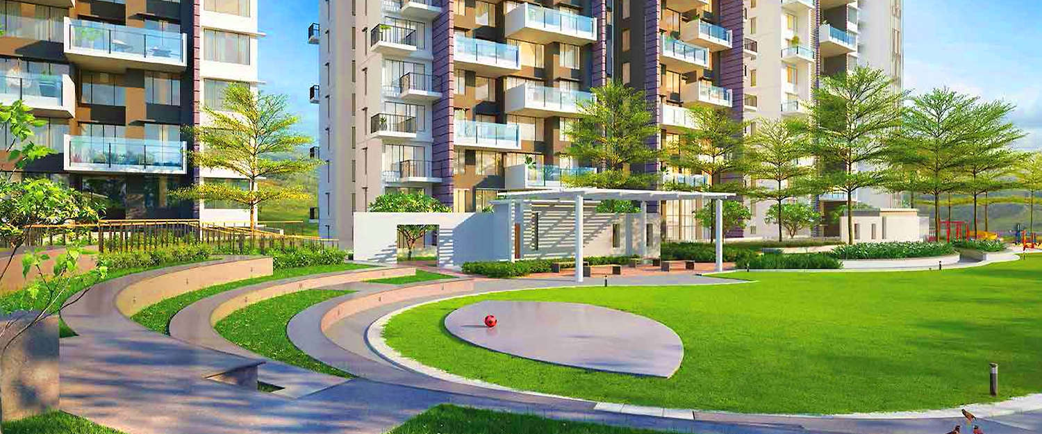 Outdoor Amenities