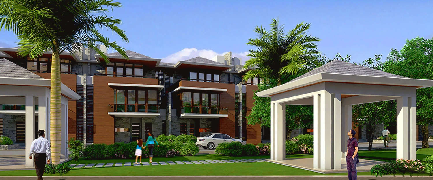 Elevation Image
