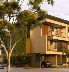 arvind-forest trails