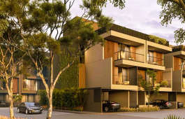 arvind-forest trails